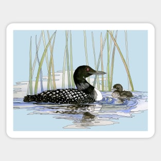 Watercolor and Ink Loons Sticker